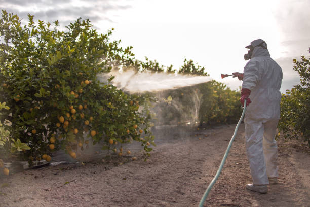Best Pest Removal Services  in Centerville, PA